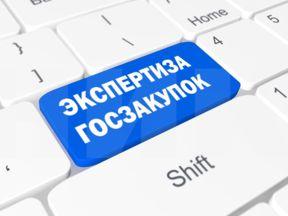 Экспертиза госзакупок